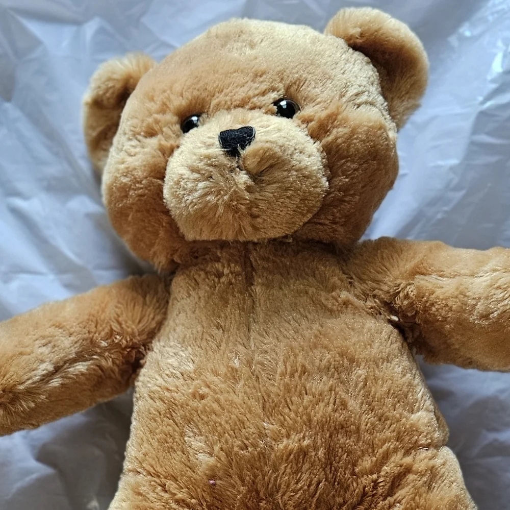 Bare Necessities Dance Recital Teddy Bear